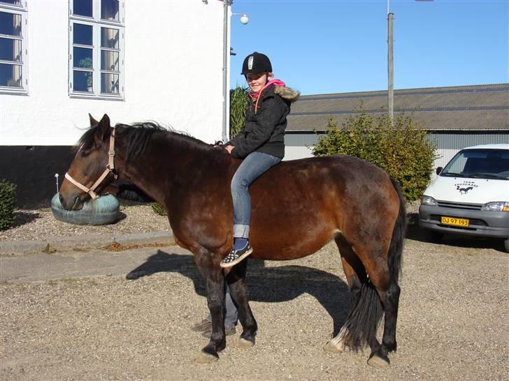 Oldenborg Jasmin - 14) Mig og Jasse den rolige hest Foto: Marlene billede 14