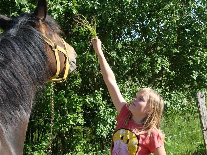 Oldenborg Jasmin - 16 ) Anne & Jasmin leger på folden Foto: Far billede 16