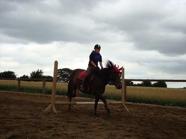 Oldenborg Jasmin - 18) Min Super Dejlige Spring hest, hun elsker det.. billede 18