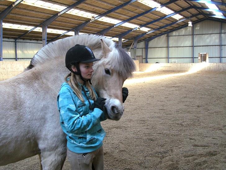 Fjordhest Obelix<3 *solgt* :`( - *16 savner dig skat! :´( billede 16