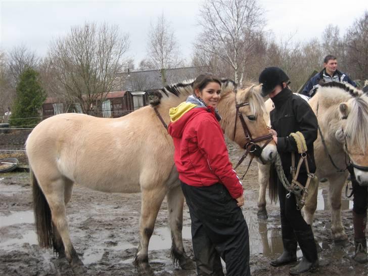 Fjordhest Rikke *Gammel Part* - mig, rikke og bedste´veninden :*  foto: Kit billede 14