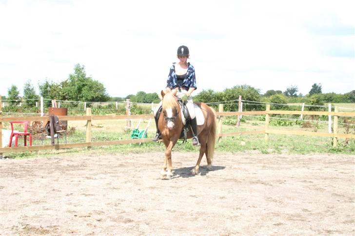 Anden særlig race Wareno - Poffi ;D (Wareno´s mor) billede 13