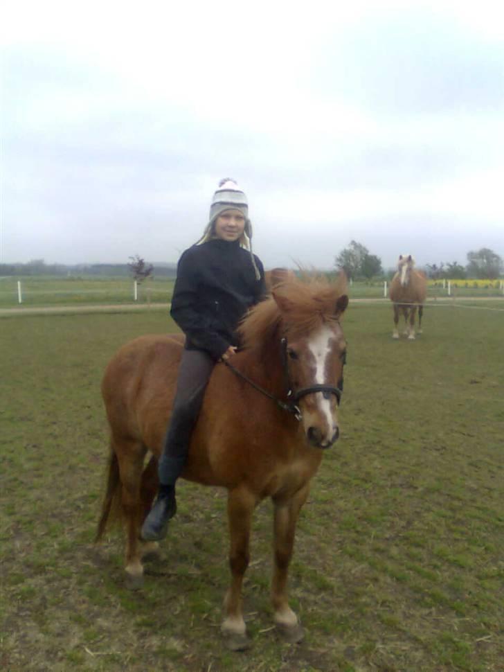 Anden særlig race Futte.†. ~savnet for altid~ billede 12