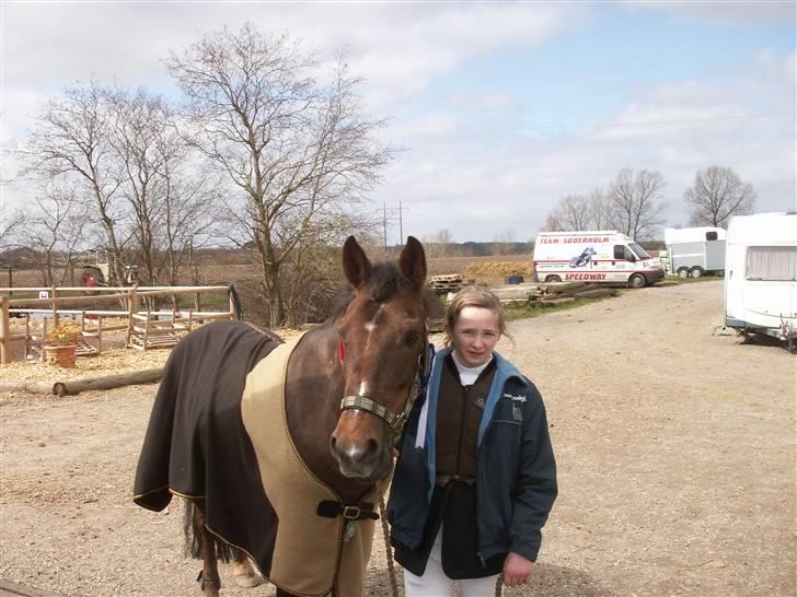 Anden særlig race Chestnut - Chestnut og jeg med to rosetter på grimen:) billede 4