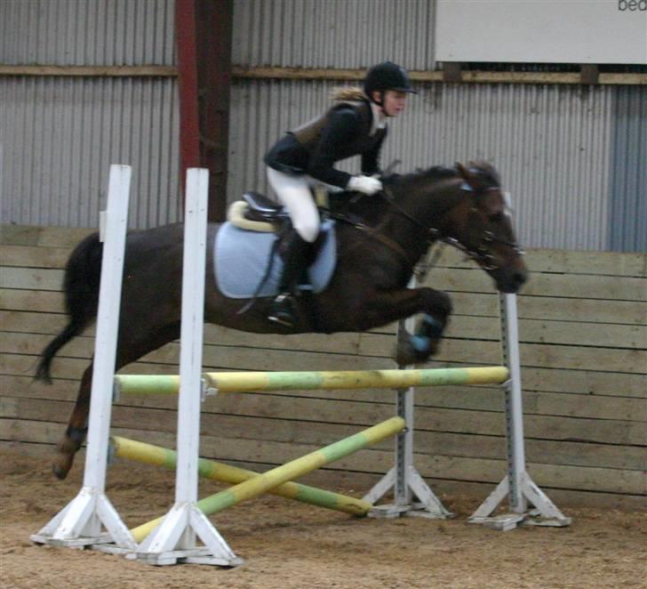 Anden særlig race Chestnut - Chestnut  og jeg<3 billede 6