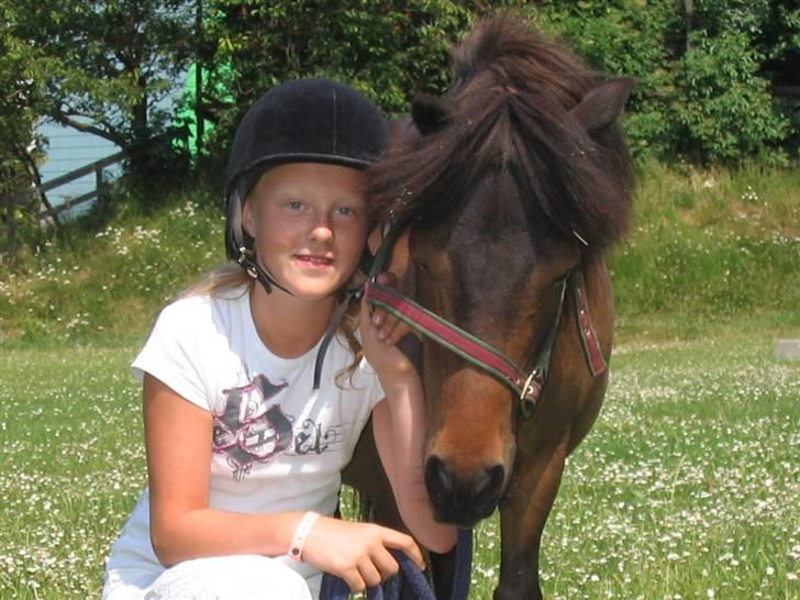 Shetlænder Bygge´s  Malissa <3 billede 2