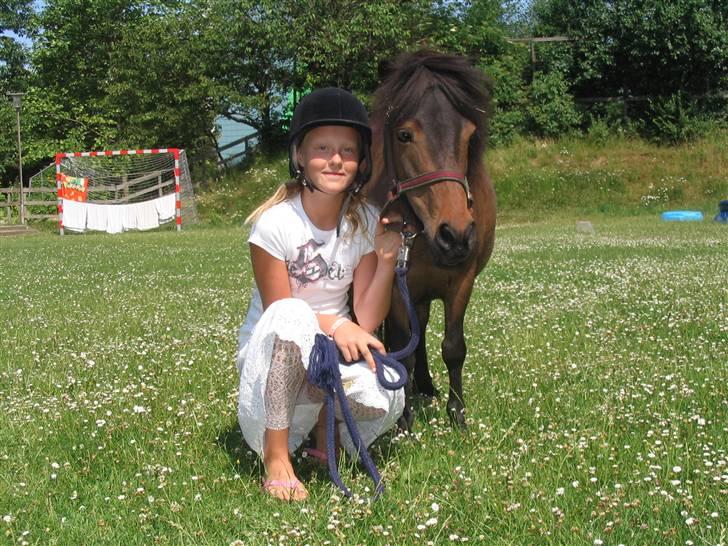 Shetlænder Bygge´s  Malissa <3 billede 3