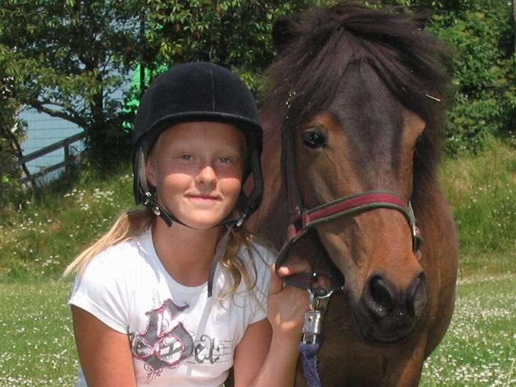 Shetlænder Bygge´s  Malissa <3 billede 4