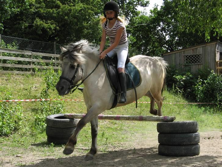 Anden særlig race Bygge`s Luna <3 billede 15