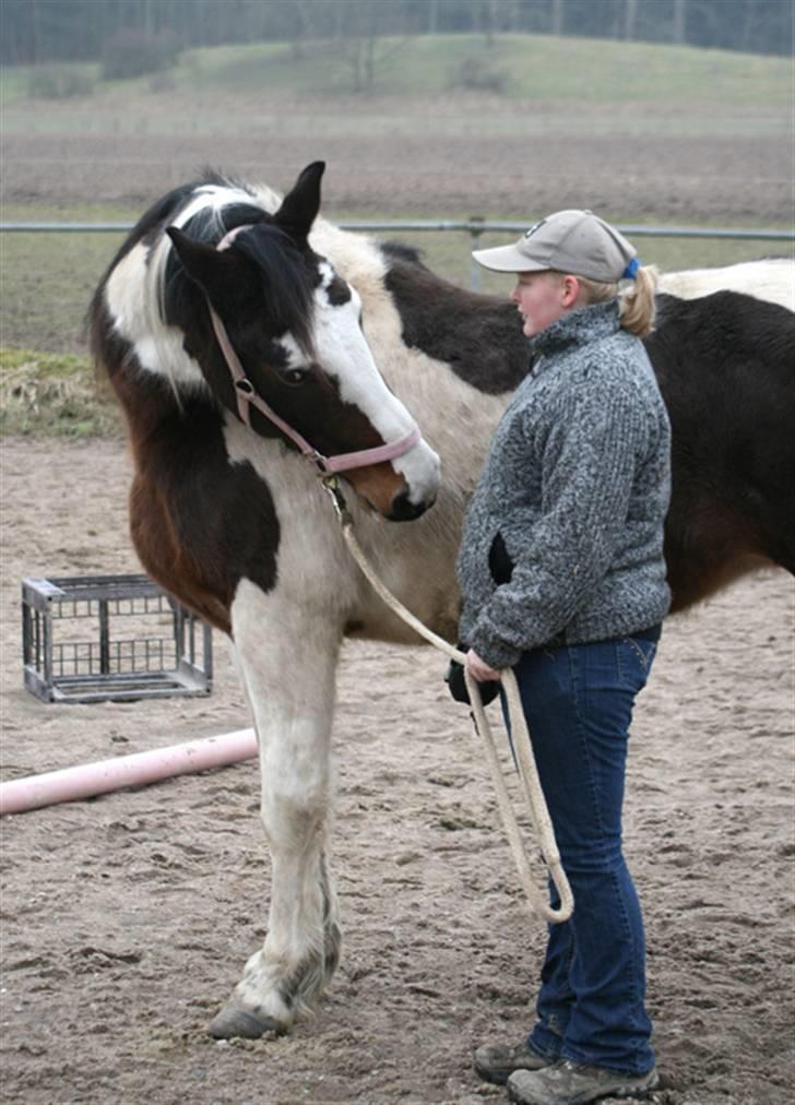 Anden særlig race Gosha (Solgt) billede 3