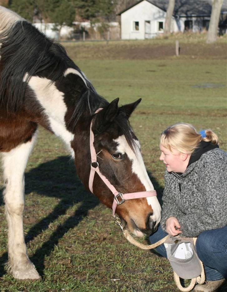 Anden særlig race Gosha (Solgt) billede 7