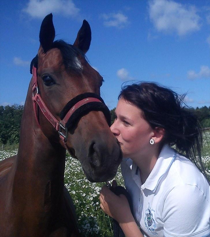 Hollandsk Sportspony Fabiola - 6 fantastiske år med verdens skønneste pony! <3 billede 16