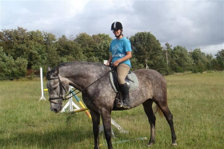 Dansk Varmblod Caezar <3 :'(  † RIP †  - Første gang jeg red på ham. billede 20