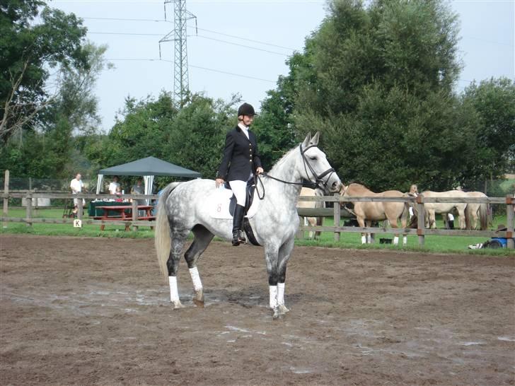 Oldenborg Athene billede 8