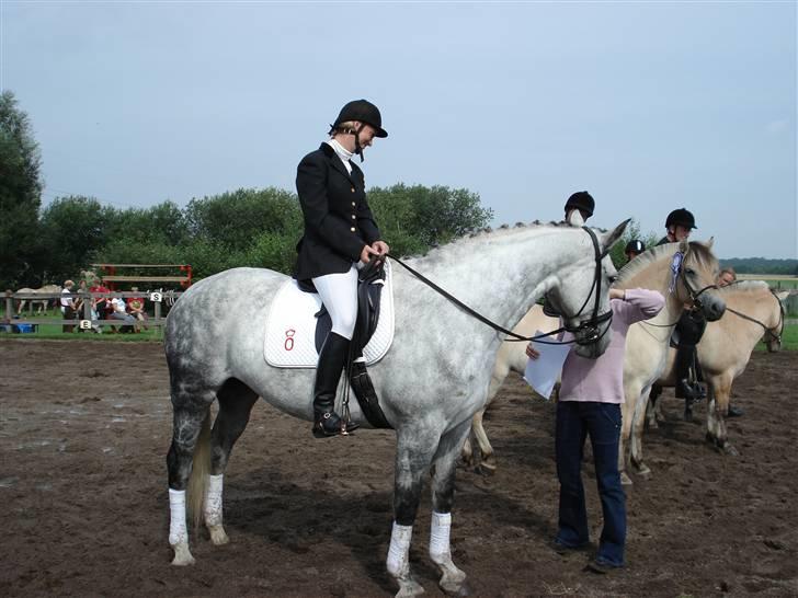 Oldenborg Athene billede 9