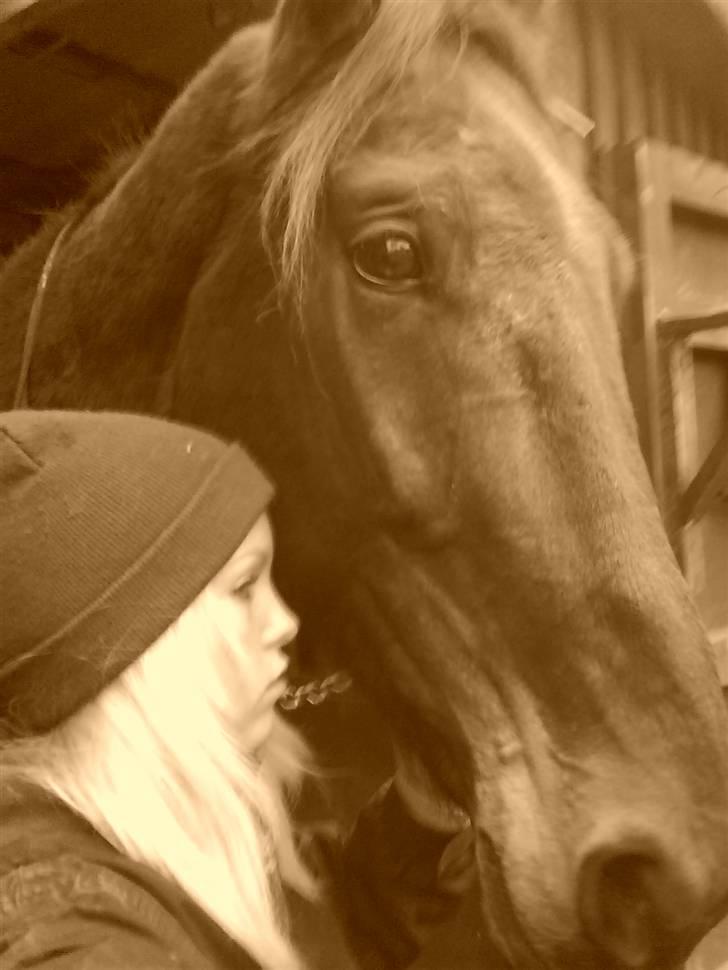 Traver morgan bork *død* billede 19