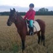 Anden særlig race Thor