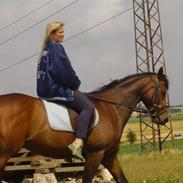 Fuldblod (XX) Foxontheline