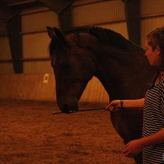 Anden særlig race Ib-Flemming foo fighter