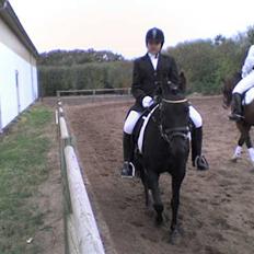 New Forest Bianca Annerup