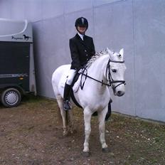 Anden særlig race Stine<3 SOLGT! 2011