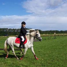 Anden særlig race Nørgårds Sanne..'<3