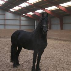 Frieser Rieuwkje G. - SOLGT