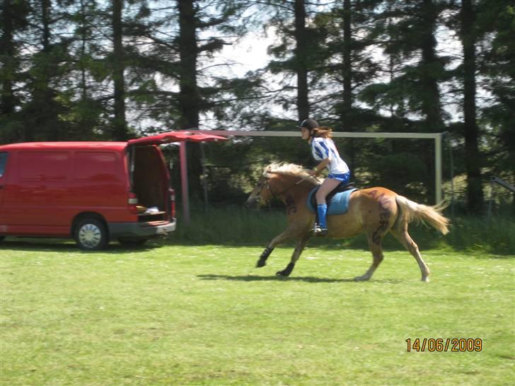 Anden særlig race Nemo Bit - vi galloperede stærkt til sidst foto: mor billede 10