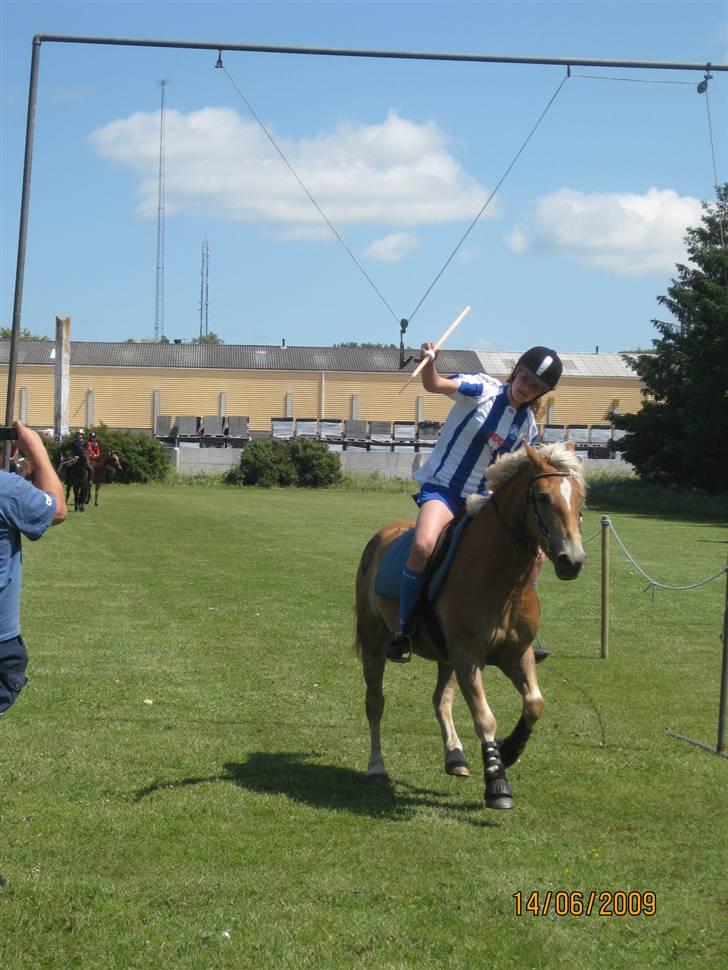 Anden særlig race Nemo Bit - ringridning den 14/6-09 foto: mor billede 6