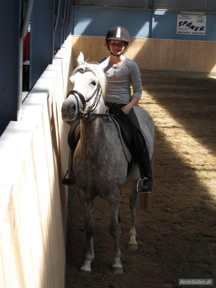 Anden særlig race Moonlight - En ridetur i dressur:D billede 9