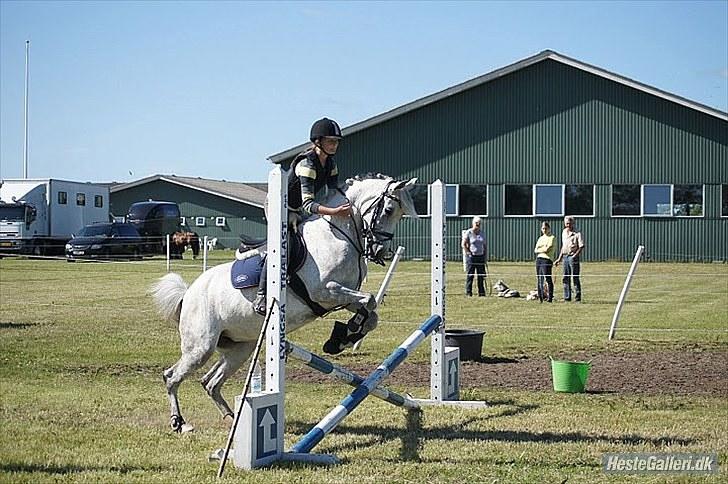 Anden særlig race Moonlight - Moonlight<3 billede er taget af nanna kragh billede 13