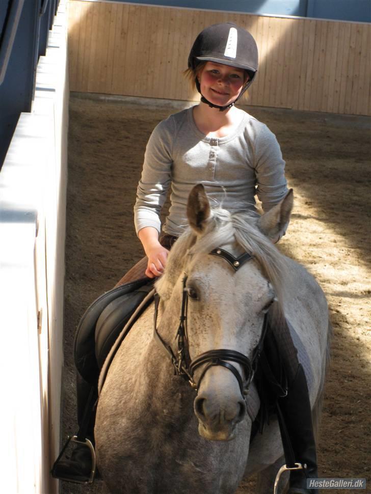 Anden særlig race Moonlight - Smukke moonligth:D billede 14