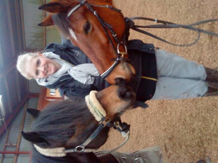 Anden særlig race Lucas ( aflivet) billede 17