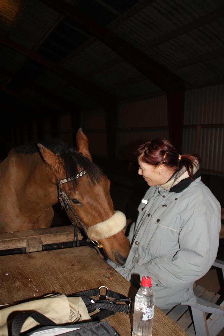 Anden særlig race Santos gammel lånehest  - "årh kom nu, jeg er næsten sikker på du har noget i den lomme" billede 5