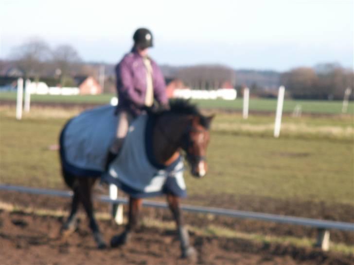 DSP Manilla M solgt billede 11