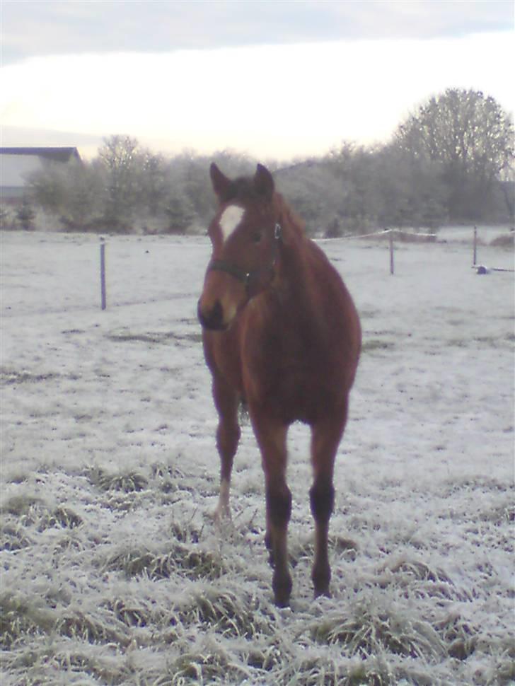 Traver Return Sujaki (Baby) - Return, den dag hun kom hjem til mig og bo... billede 12