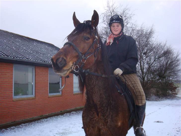 Traver Wondering - Wondering og Camilla på vej hjem fra en "lidt kold" træningstur d. 8/2 billede 11