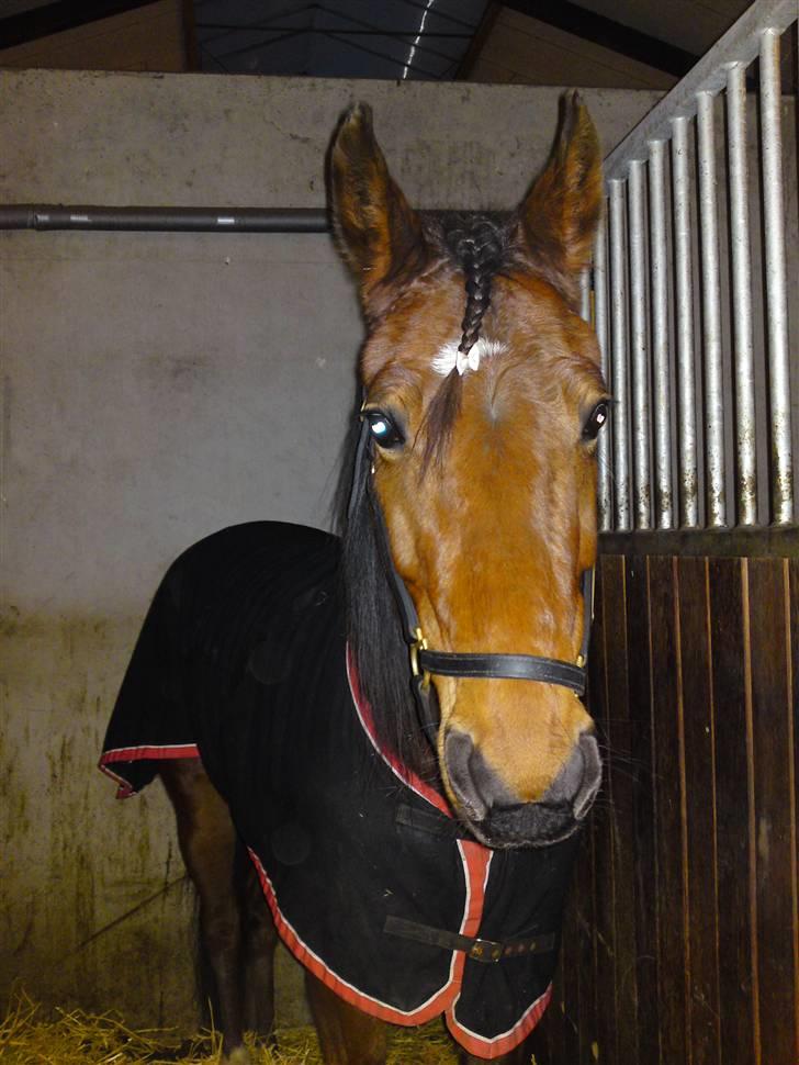 Traver Wondering - Smukke dreng i hans es!! billede 12