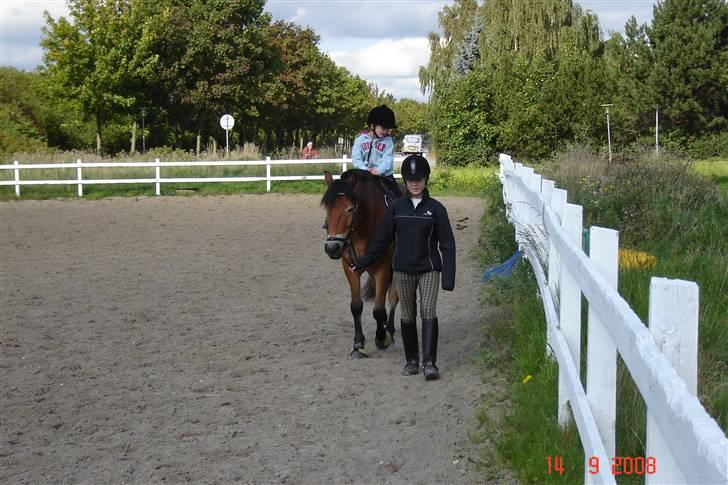 Anden særlig race Tue R.I.P - sommer 2008 billede 9