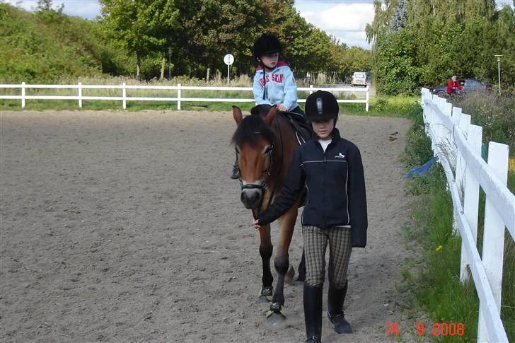 Anden særlig race Tue R.I.P - sommer 2008 billede 10