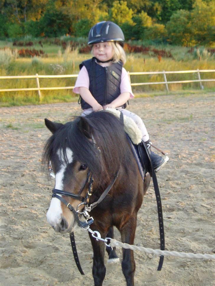 Anden særlig race Dina - Dina med Ciliane billede 2