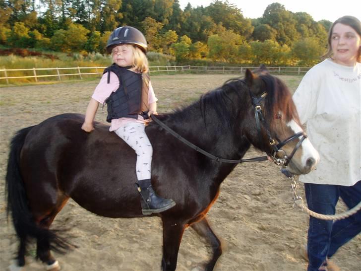 Anden særlig race Dina - Dina med Ciliane billede 3