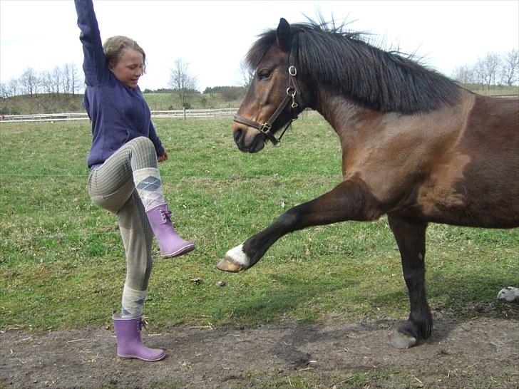 Anden særlig race Kiwi - Kiwi? - Du er alt hvad jeg mangler i min hverdag! Du er elsket!!<3 billede 1