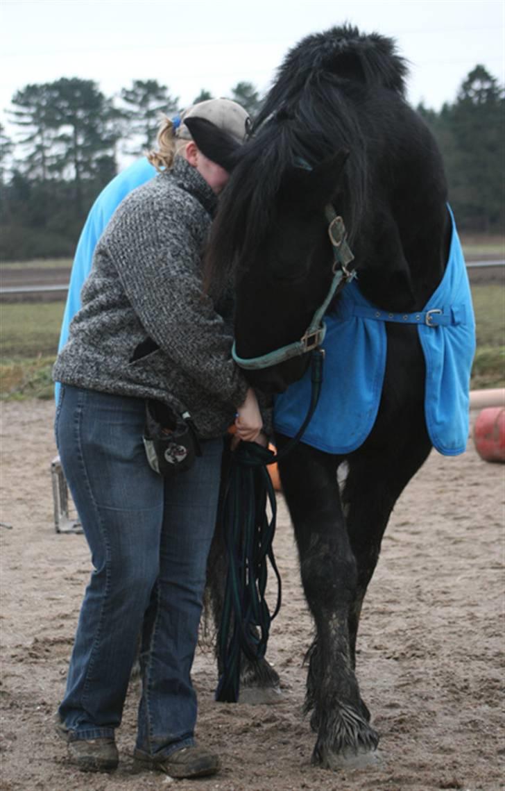 Frieser Jouke (Solgt) billede 9