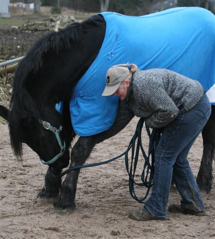 Frieser Jouke (Solgt) billede 10
