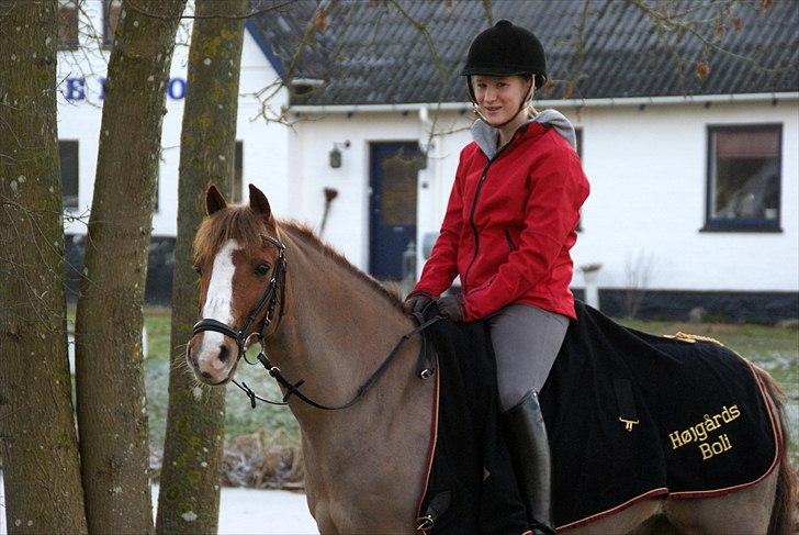 DSP Højgårds boli - Dagen før vi afleverede dig.. Jeg kan ikke takke dig nok, du har været en fantastisk lærermester! billede 4