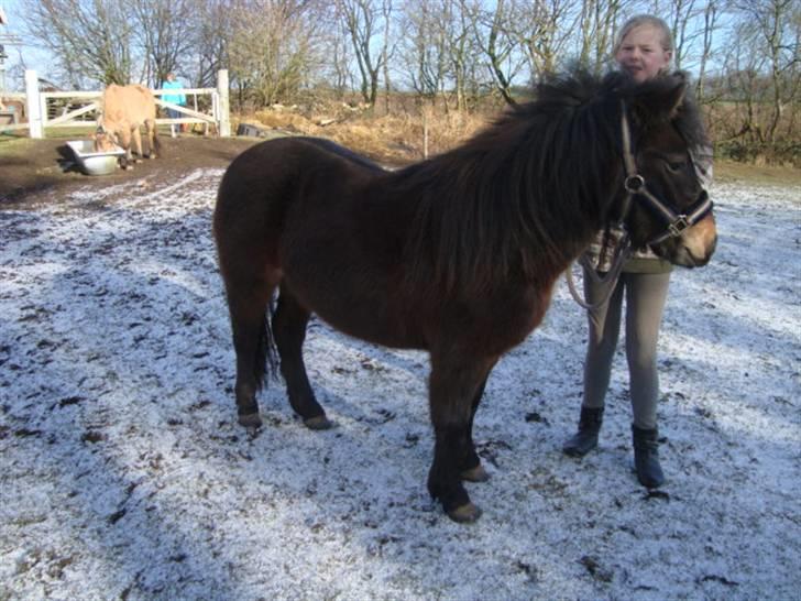 Anden særlig race Beautiful SouL ( solgt ) billede 6