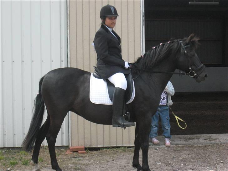 New Forest Bianca Annerup billede 5