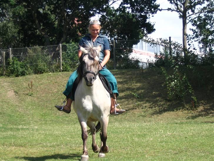 Anden særlig race Bygge`s Luna <3 - Dorthes sidste dag. hun ridder Luna <3 billede 17