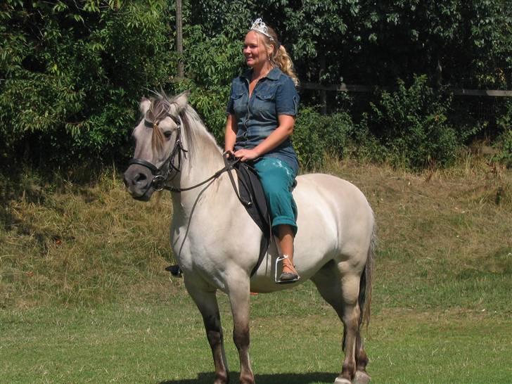 Anden særlig race Bygge`s Luna <3 - Dorthes sidste dag. hun ridder Luna <3 billede 18